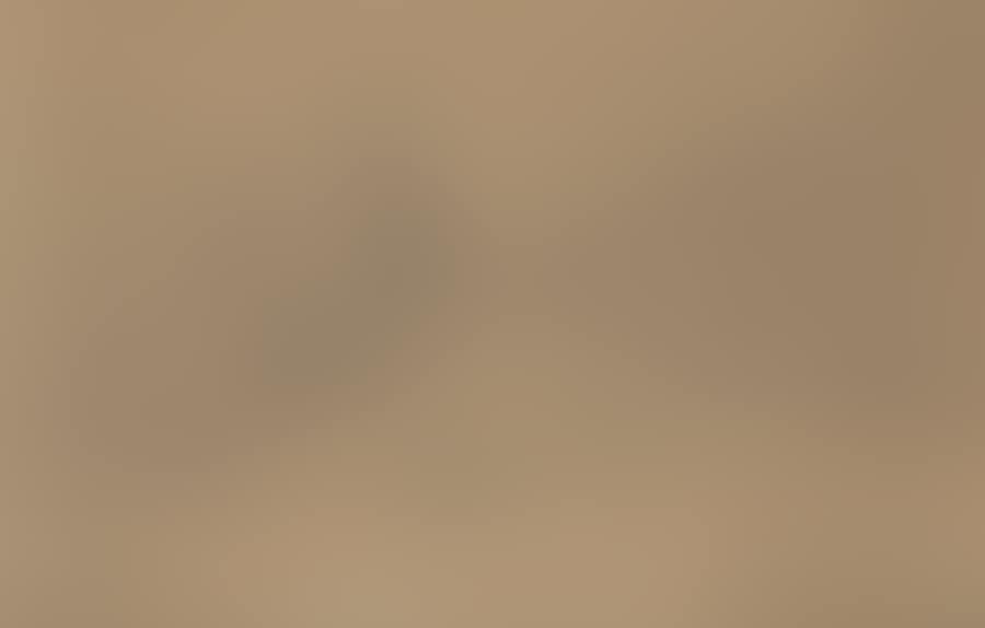 Hardangerfjord (Norway) (preview)