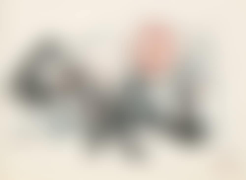 Untitled (preview)