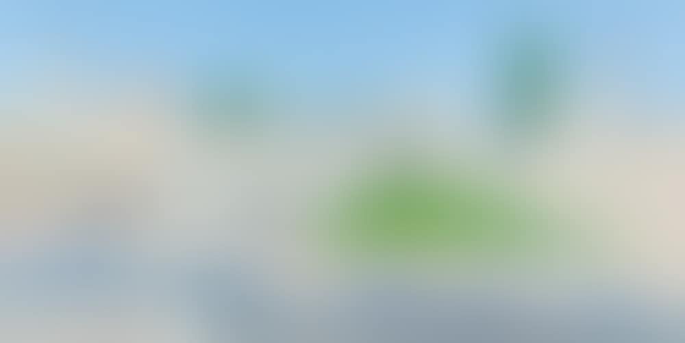 The Western Wall (preview)