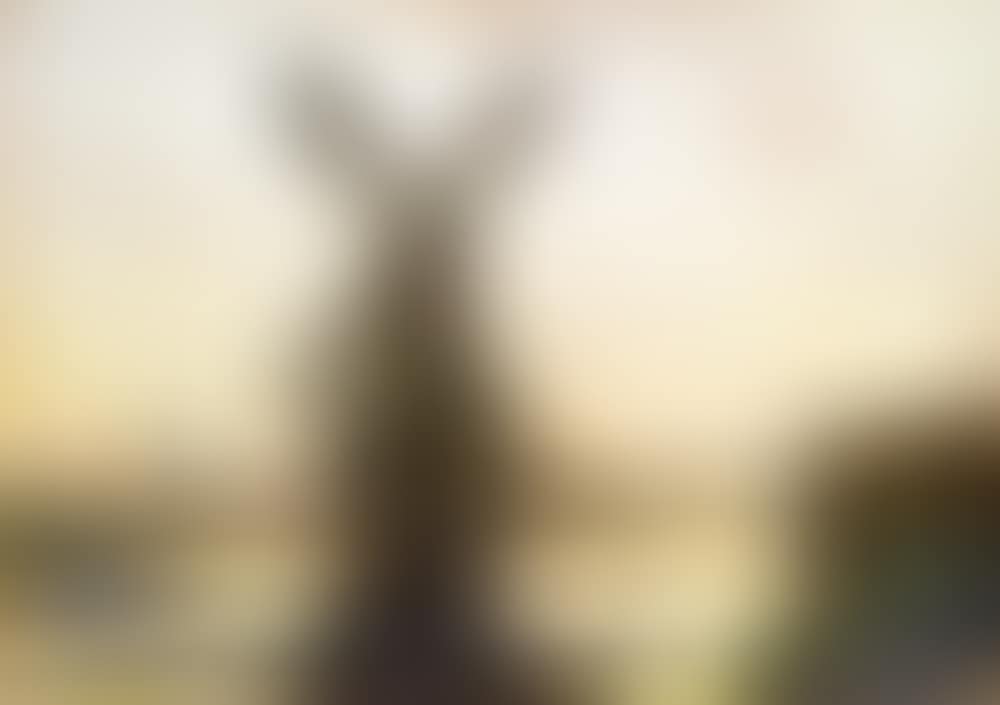 Dutch Landscape (preview)