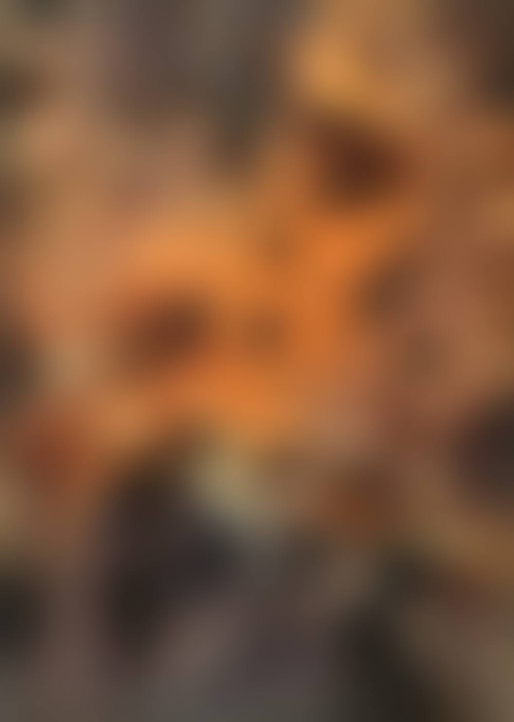 Creation (preview)