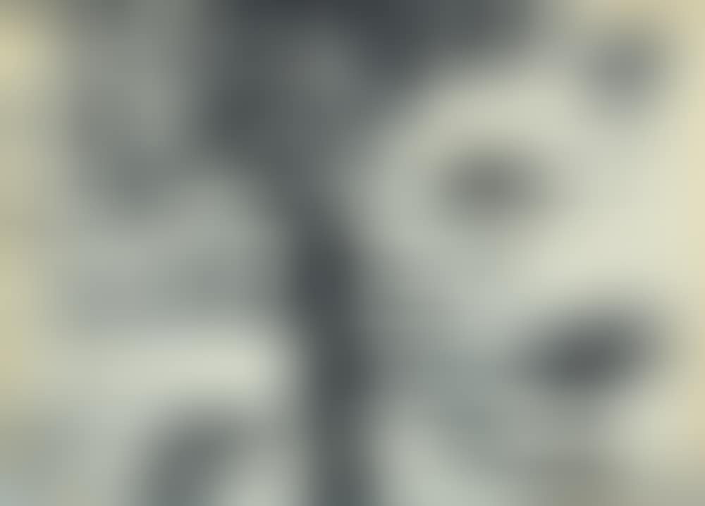 Landscape (preview)