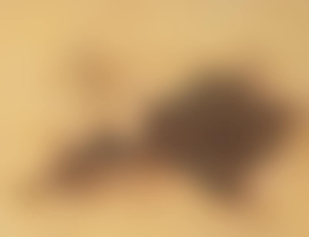 Double-sided: Moon (preview)