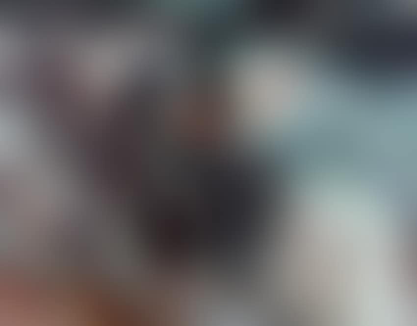 Untitled (preview)