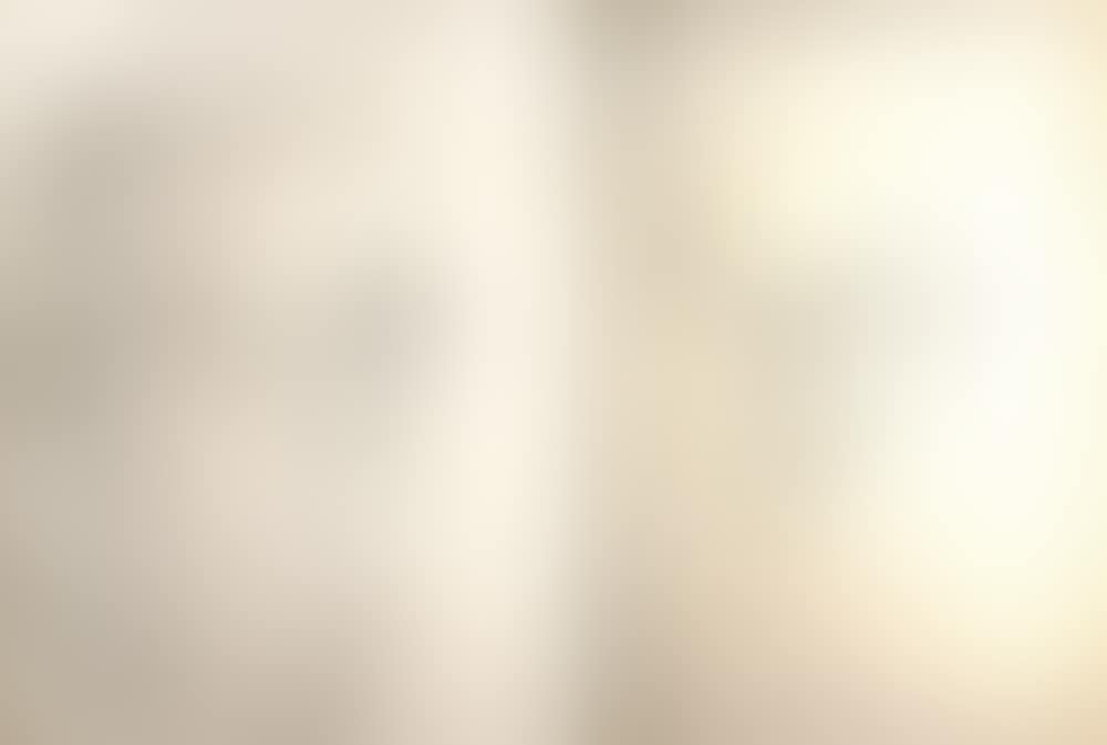 A Lot of Two Paintings: Male Portrait (preview)