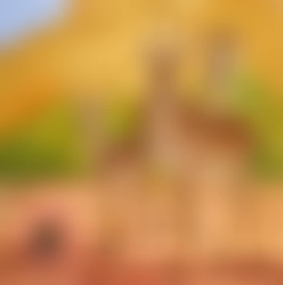 Deer in the Landscape (preview)