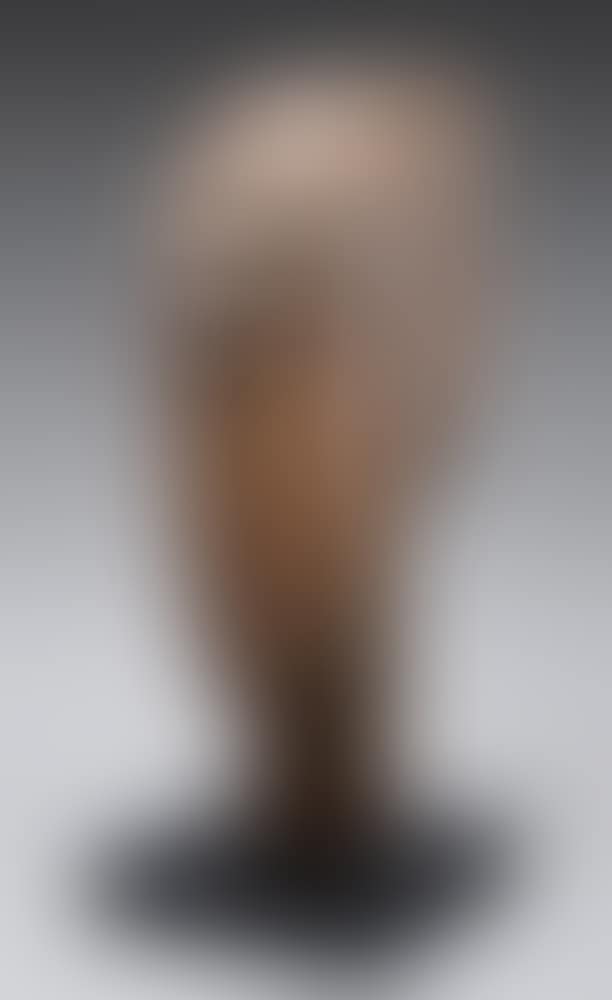 Portrait (preview)
