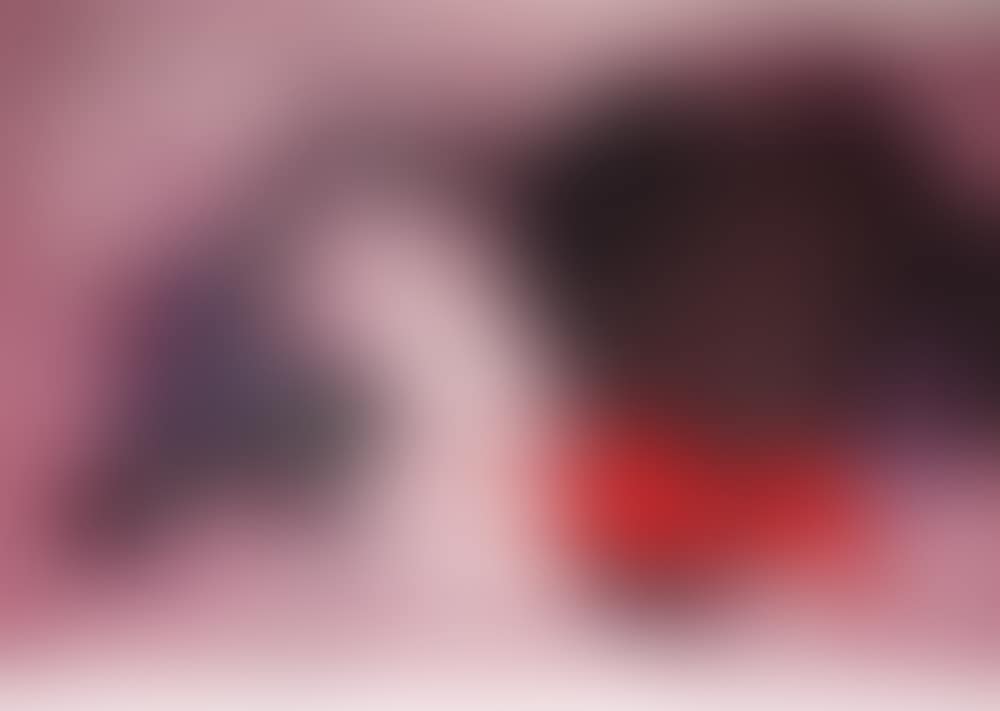 Creation, The Creacion (preview)