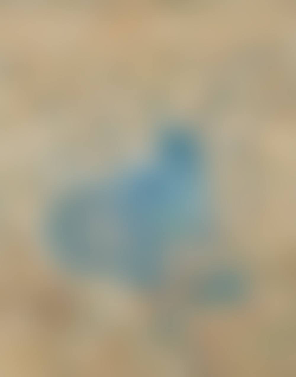 In Blue Distance (preview)