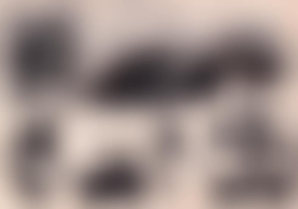 Landscape (preview)