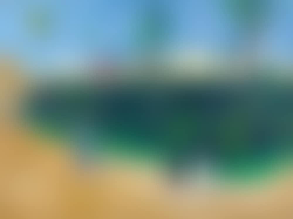 Orchard in Jaffa (preview)