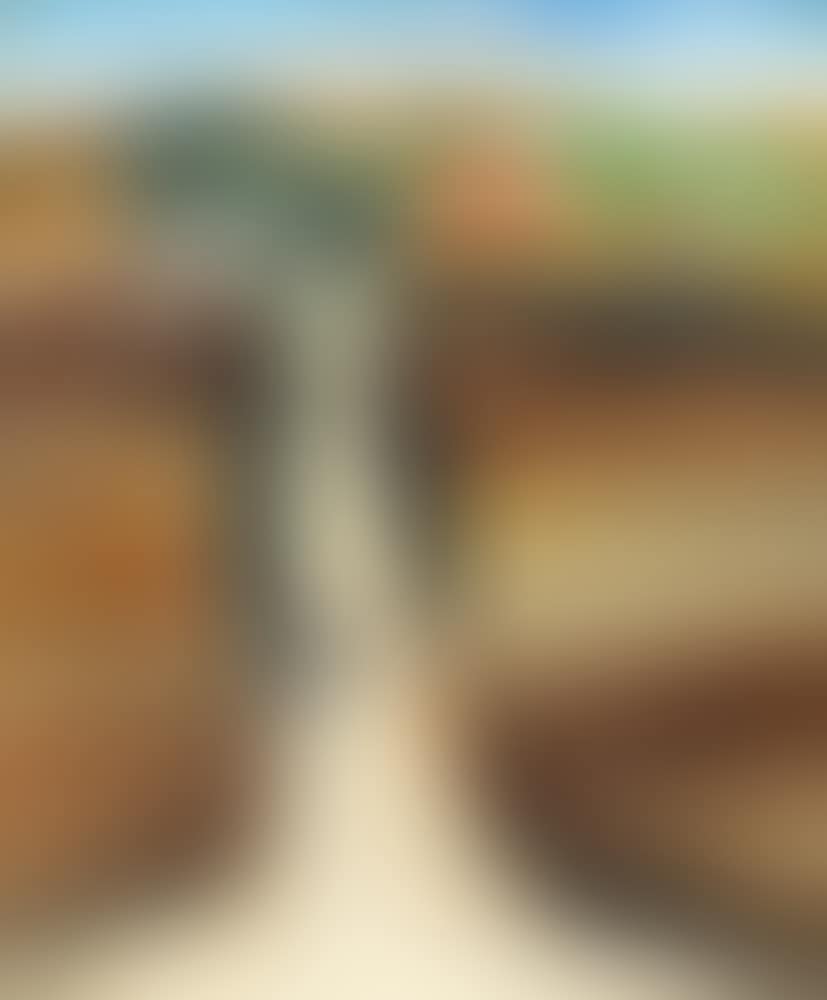 Shaykh-Munis (preview)