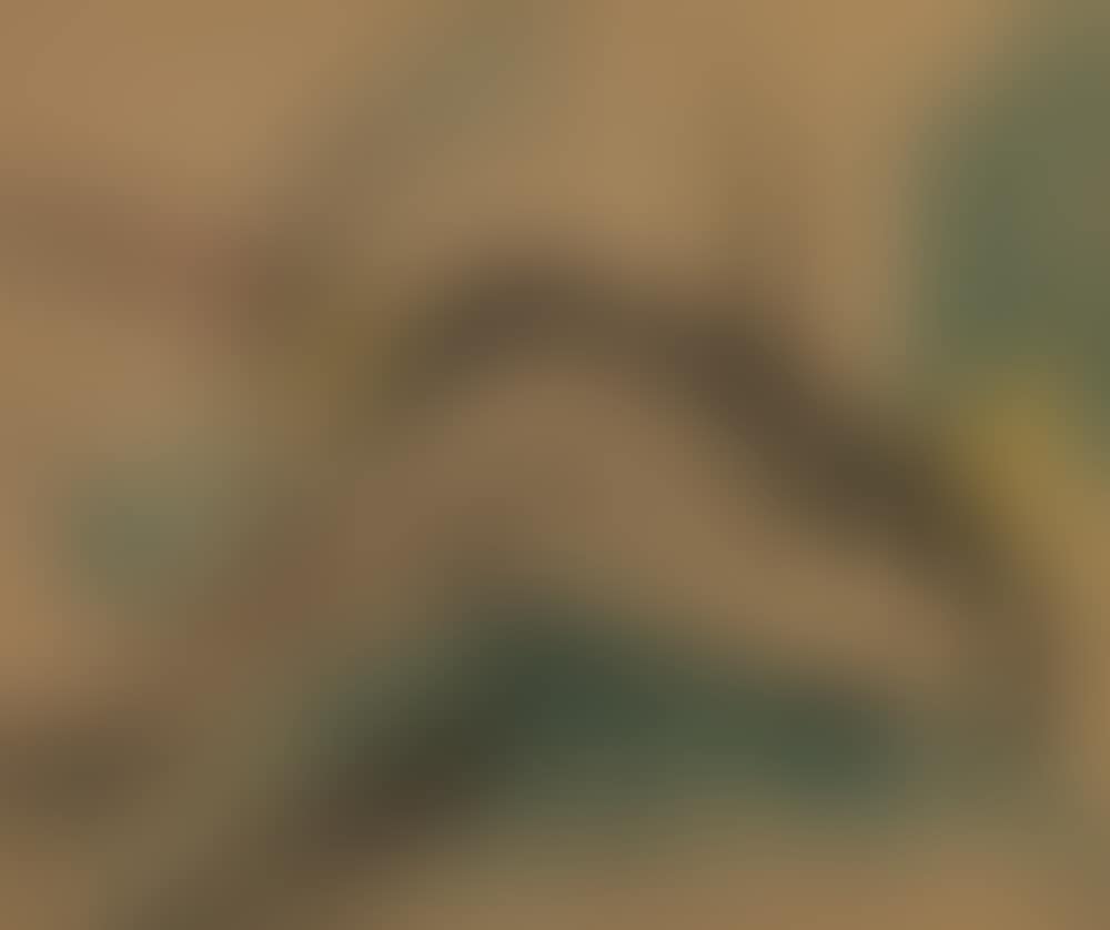 Deer (preview)