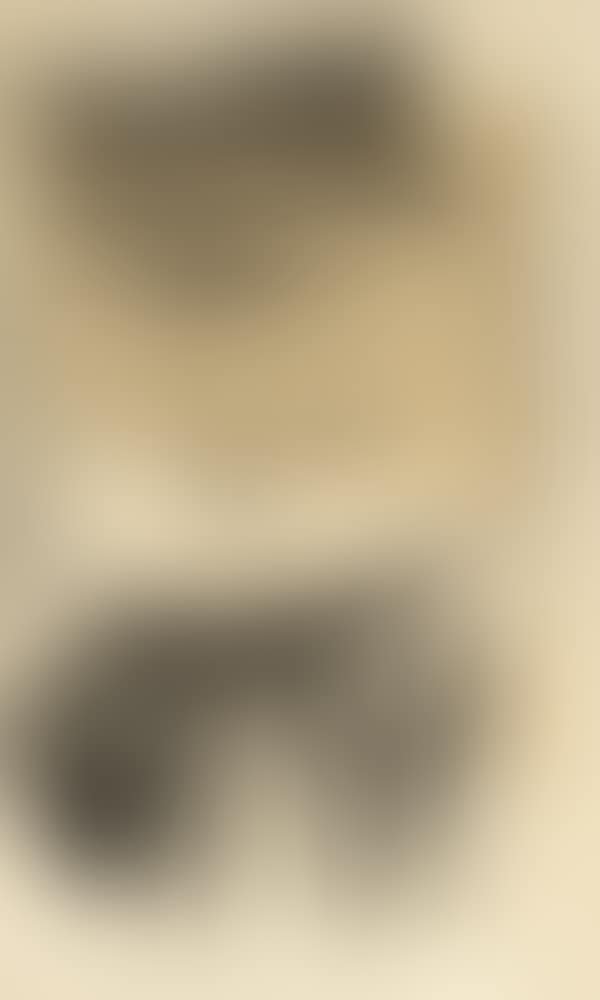 Figure (preview)