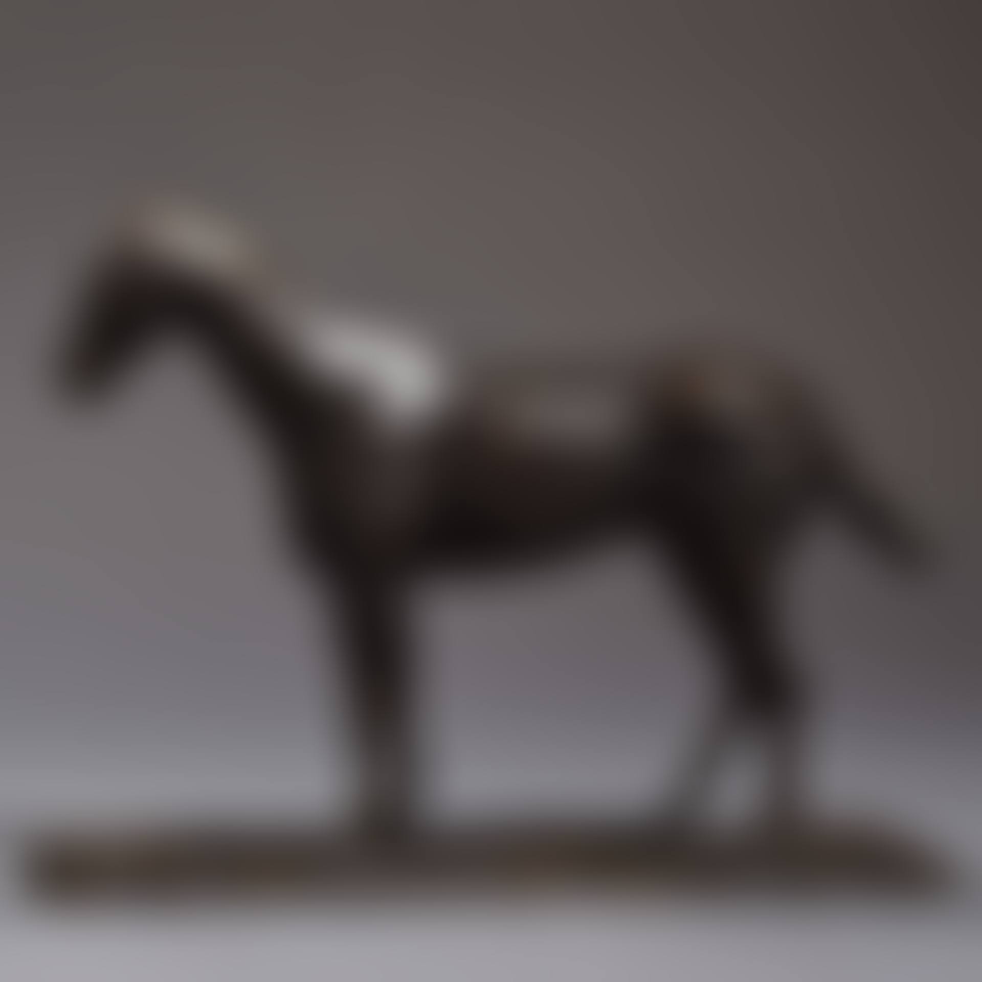 Horse study (preview)