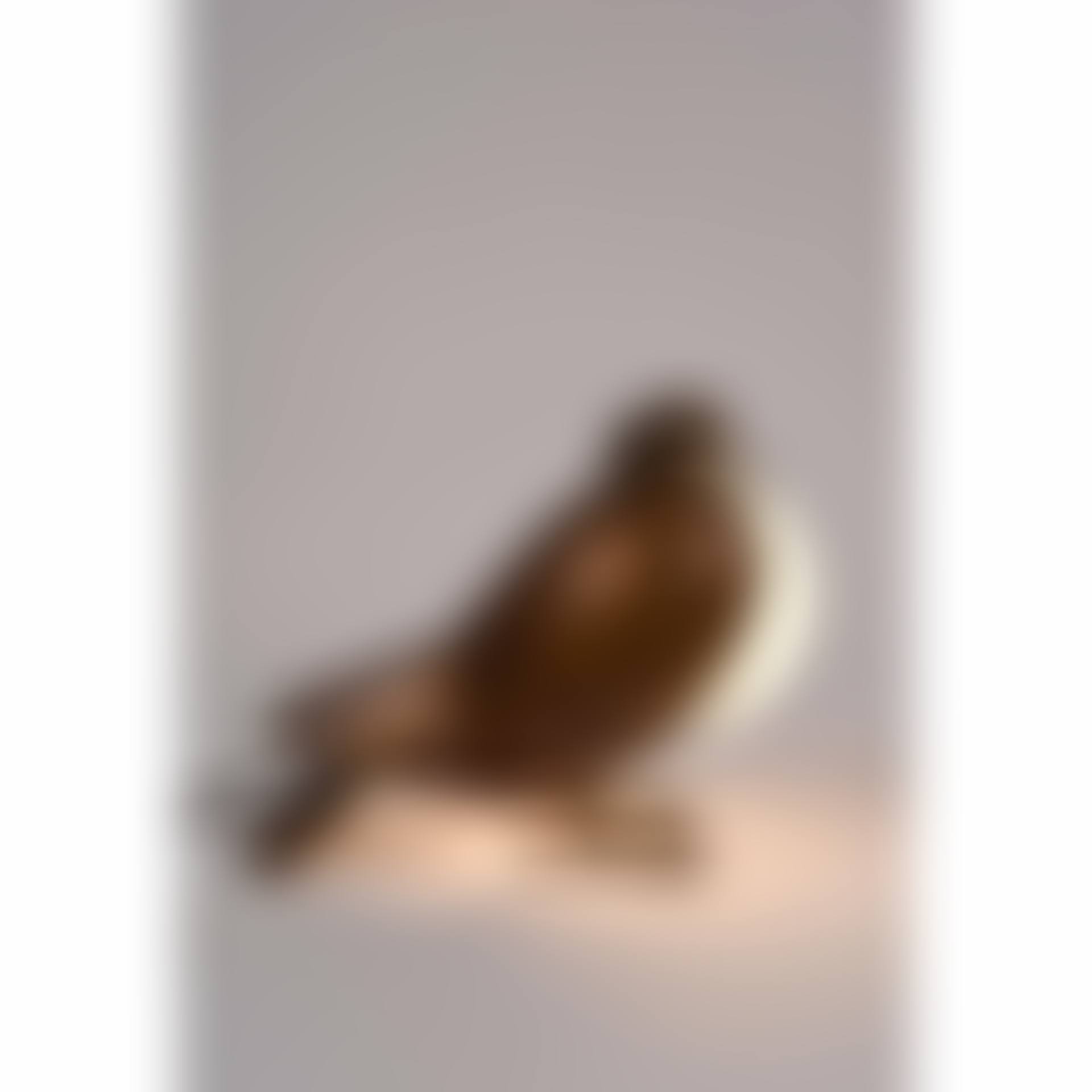 “Pigeon” table lamp (preview)