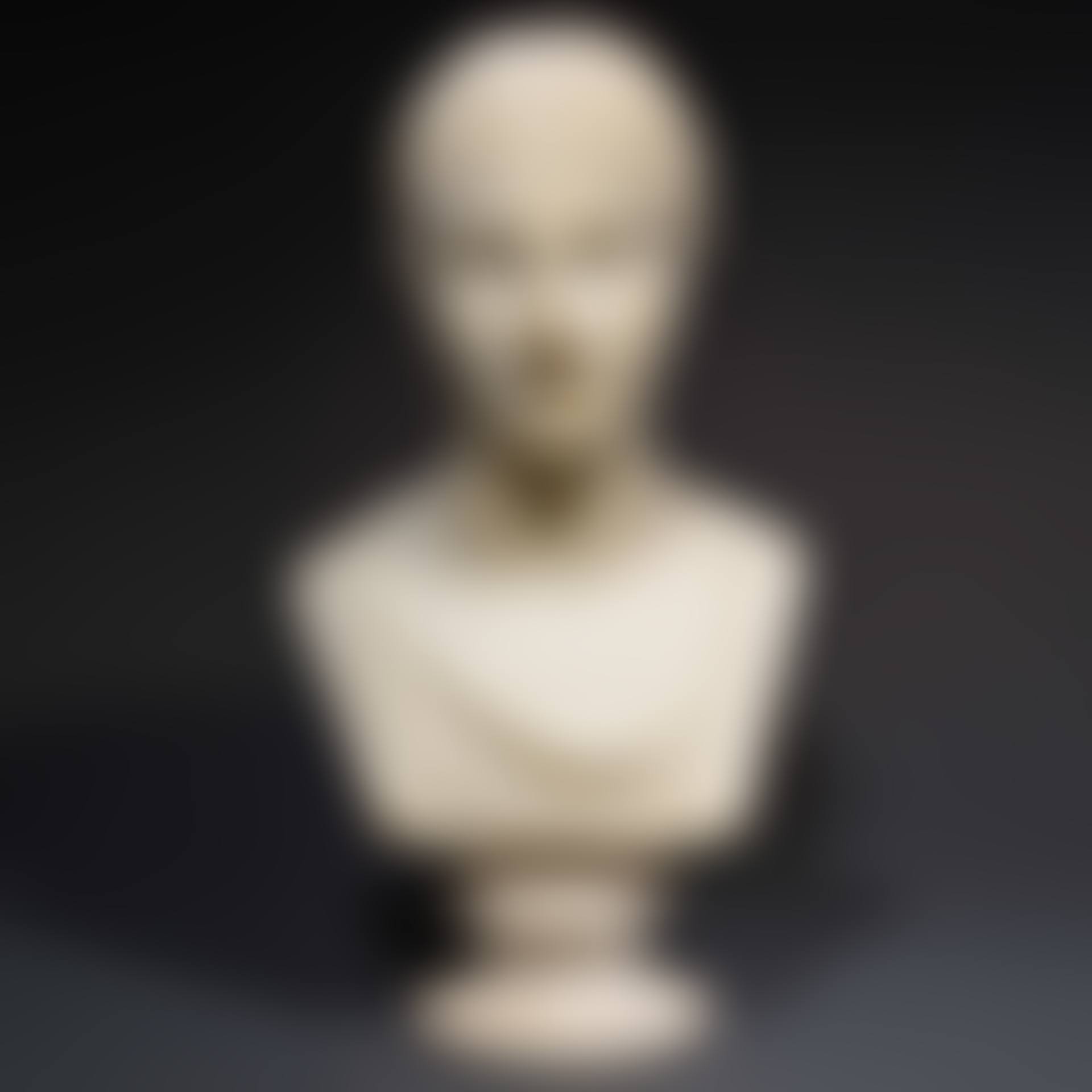 PORTRAIT OF A WOMAN (preview)