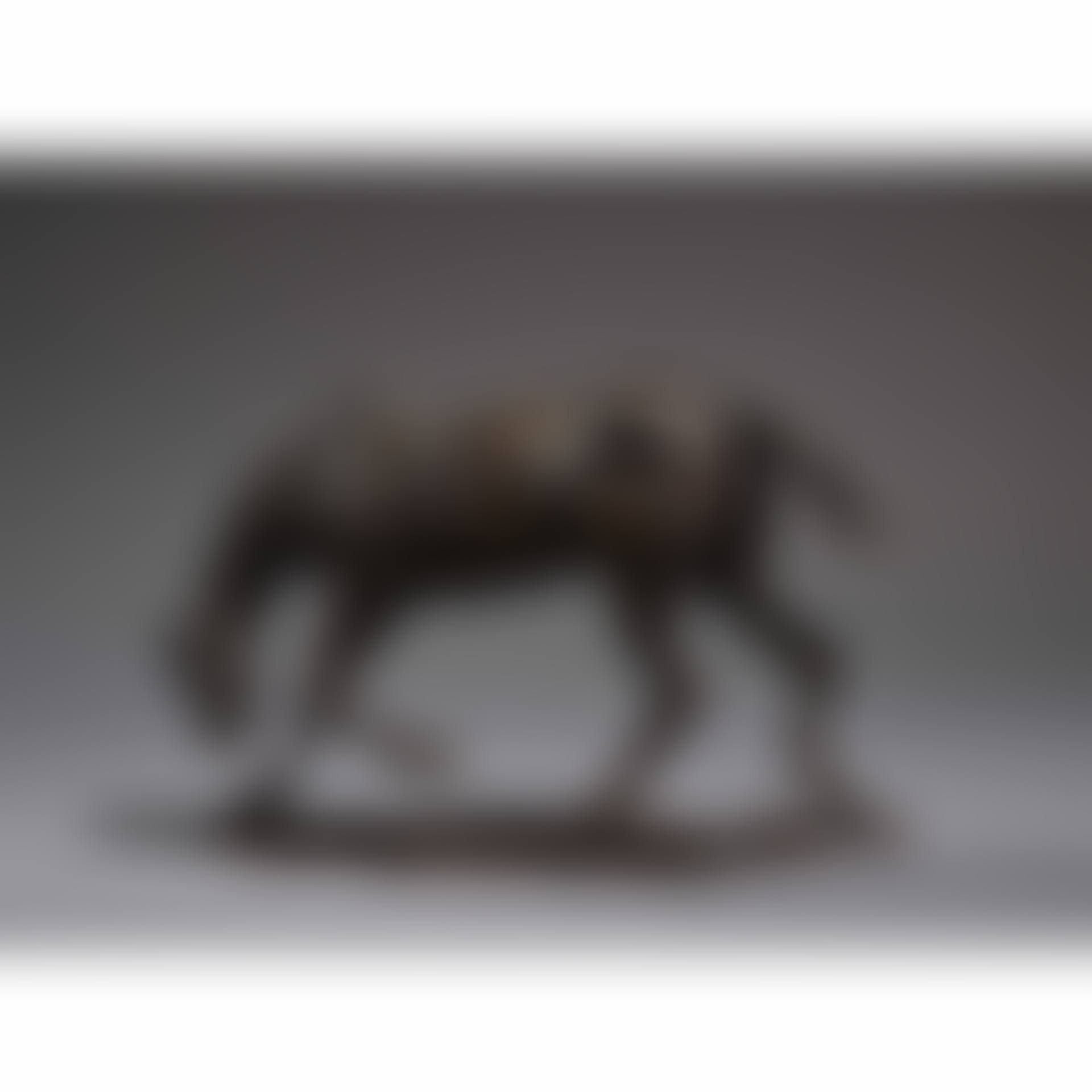 Horse doing a handstand (preview)