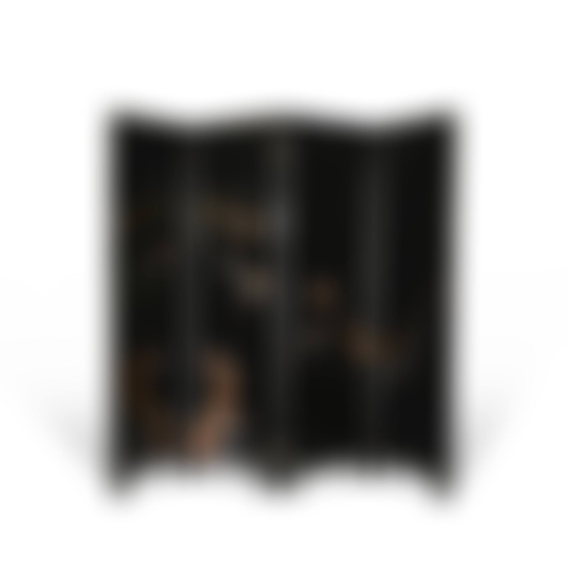 Screen with four articulated leaves (preview)