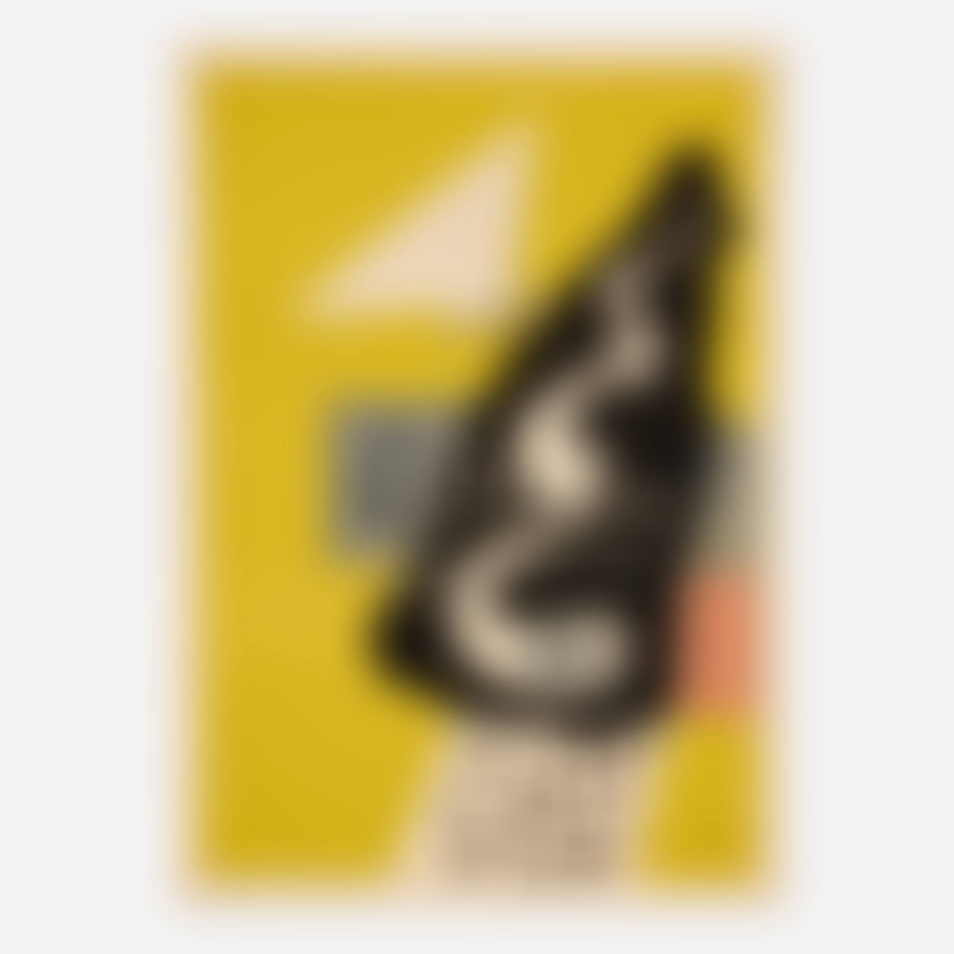 Braque Graveur exhibition poster (preview)