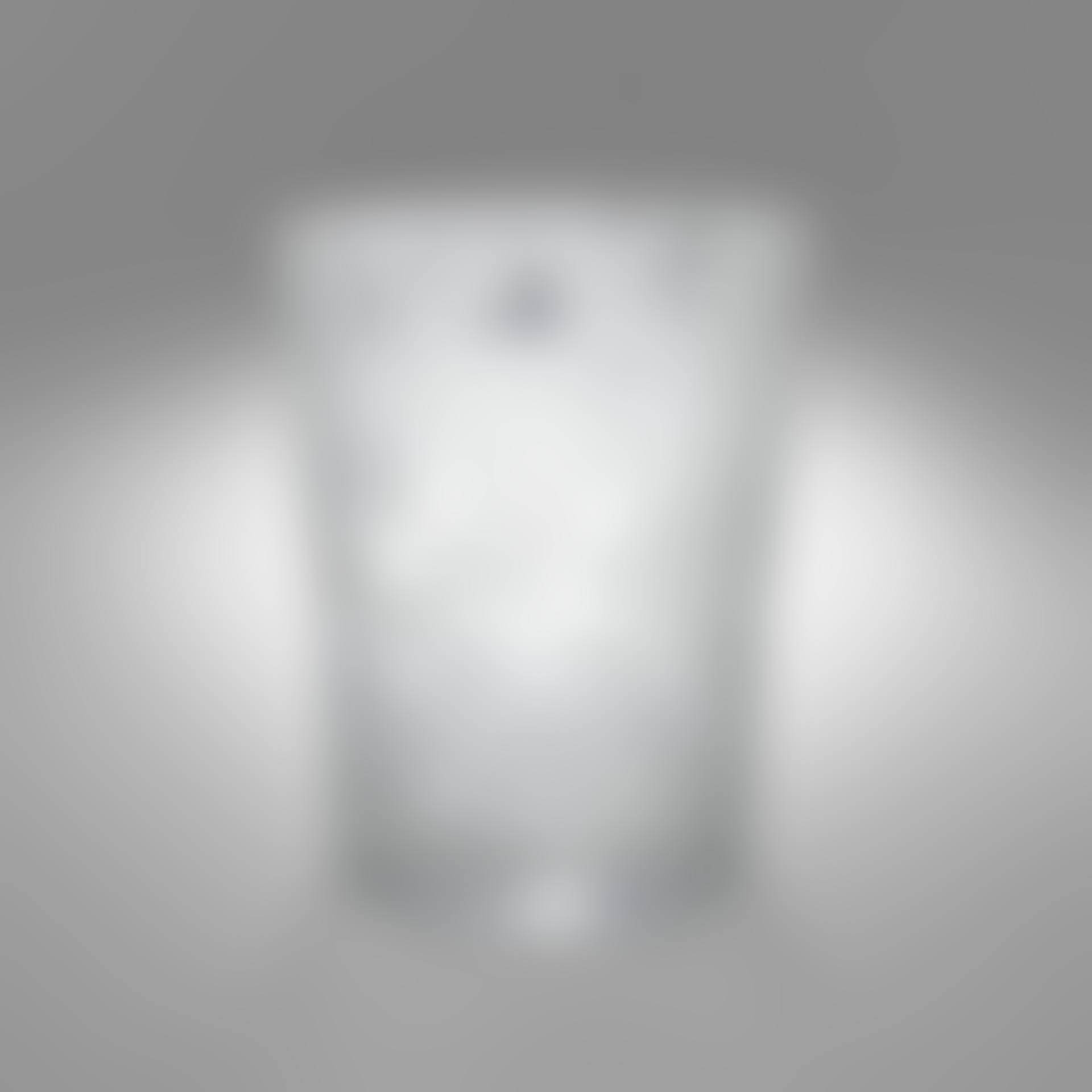 Wine Bucket/Vase (preview)