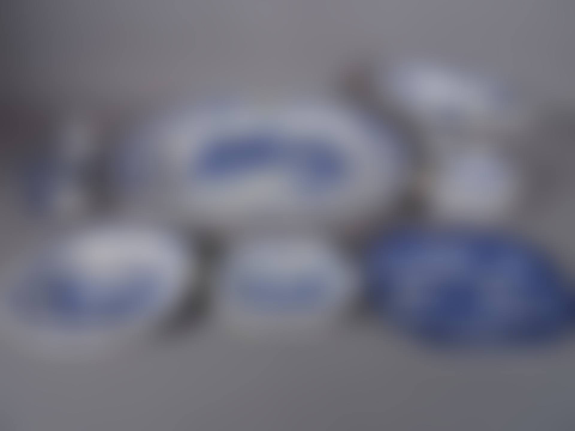 A large blue and white meat platter (preview)