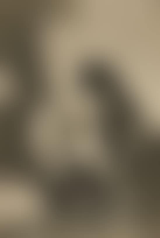 Chiton (Hush), from Los Caprichos (preview)