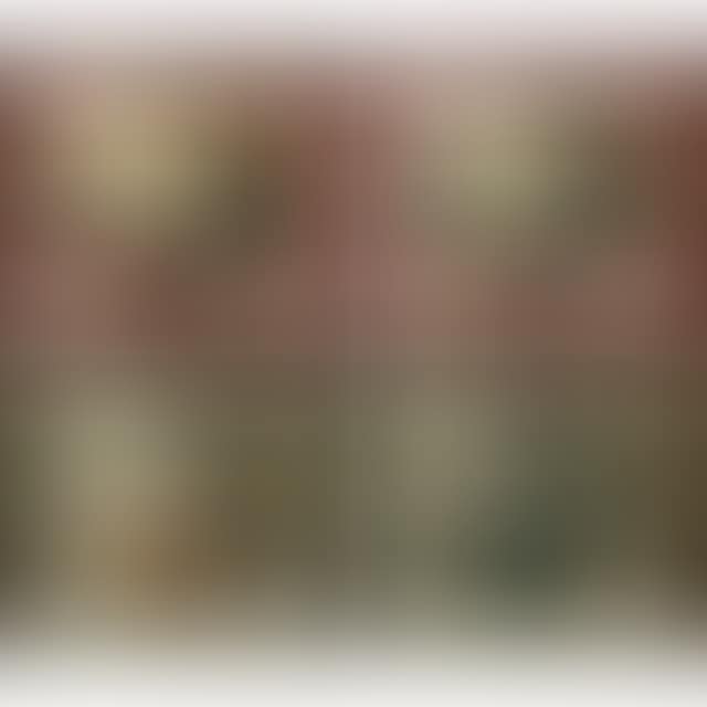 INTERIOR SCENES WITH YOUNG LADIES (preview)