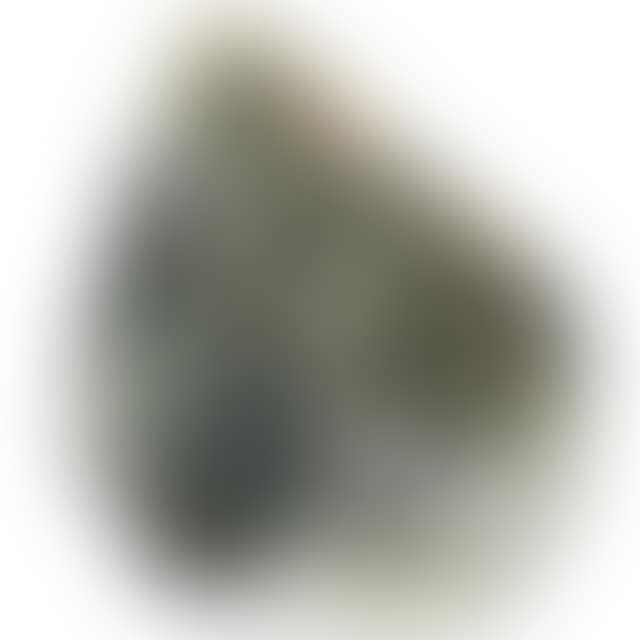 ABSTRACT FORM (preview)