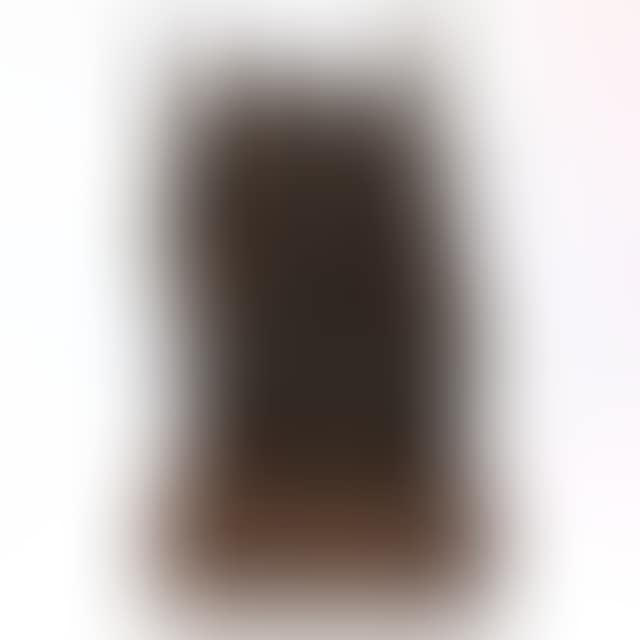 ABSTRACT (preview)