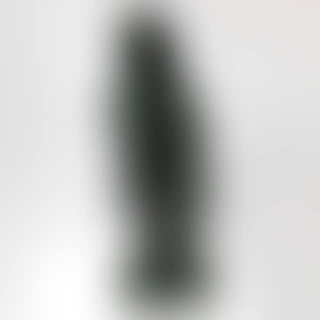 THE READER (preview)