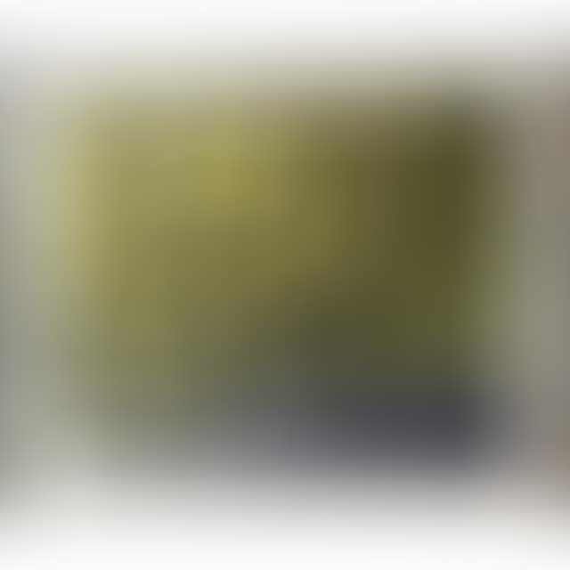 CLAIRVOIE (preview)