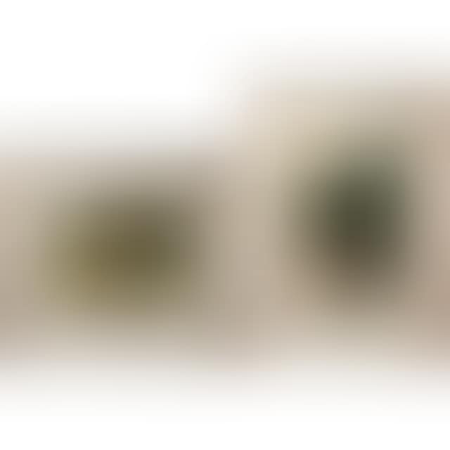 UNTITLED ("CATTLE BY STREAM" & "LADY RESTING WITH DOG, FARMER AND COW") (preview)
