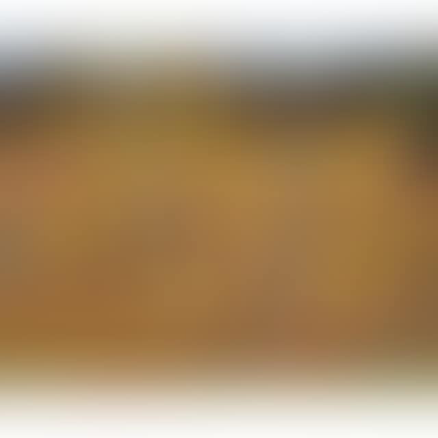 INDIAN FENCE (preview)