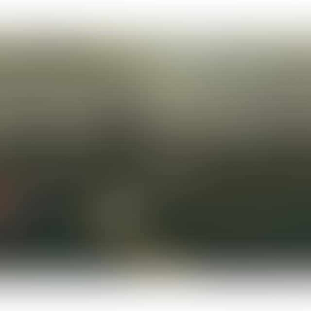 DUTCH LANDSCAPE WITH STREAM (preview)