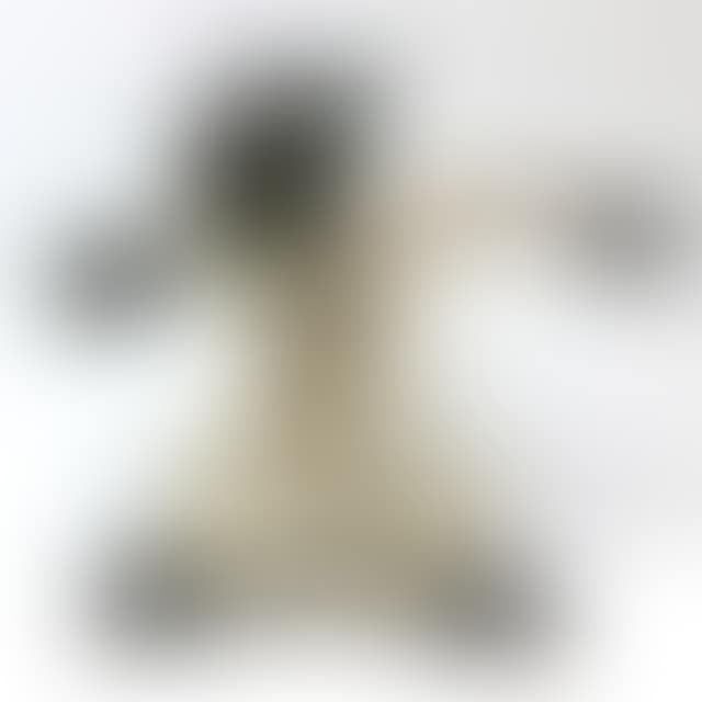 THE MAD WOLF (preview)