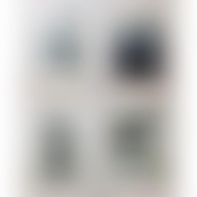 UNTITLED (SEALS & PUPS) (preview)