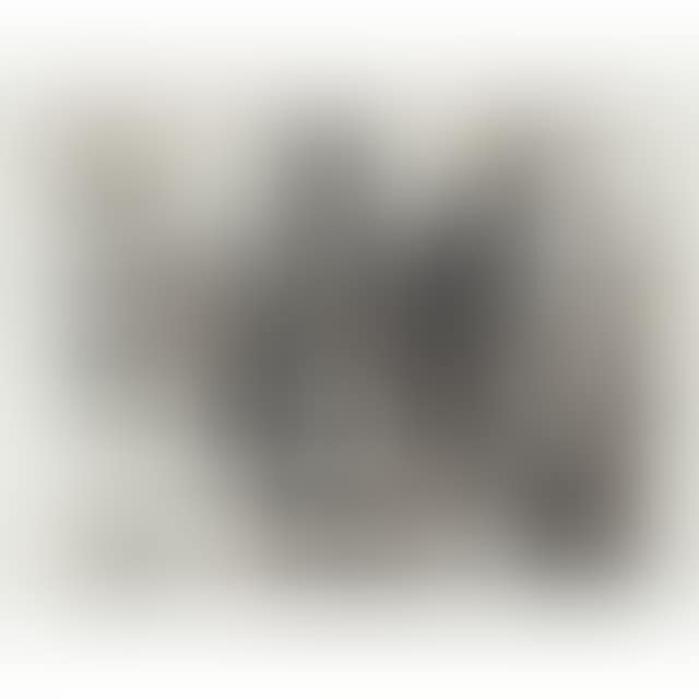 "CAVALIER EN ARMURE" (preview)