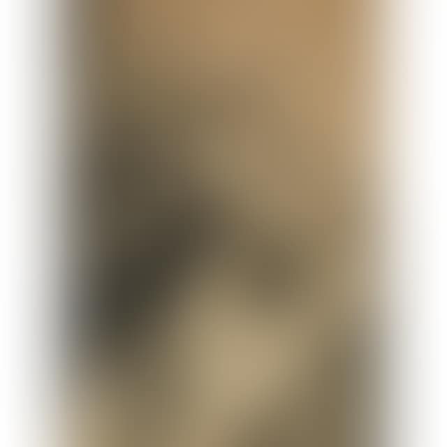 HEAD OF A WOMAN (preview)