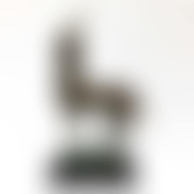 IBEX (preview)