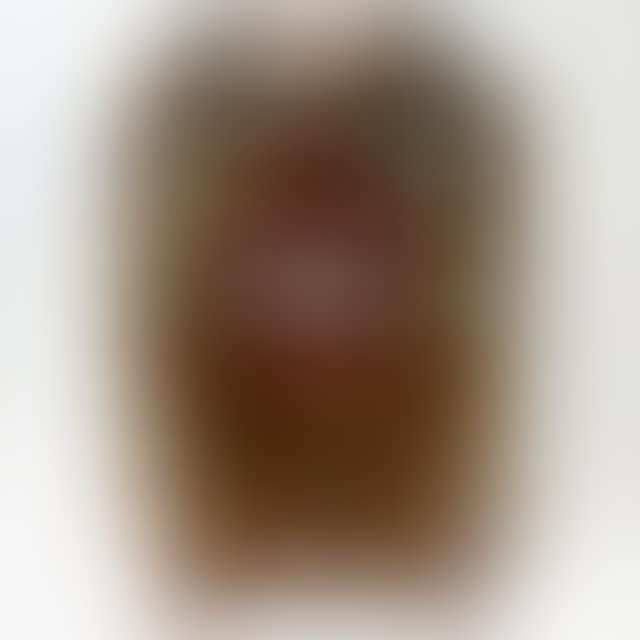 BEAVER (preview)
