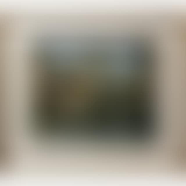 UNTITLED (BACK HOUSES) (preview)