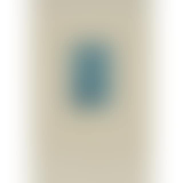 GAULOISES BLEUES (WHITE) (preview)