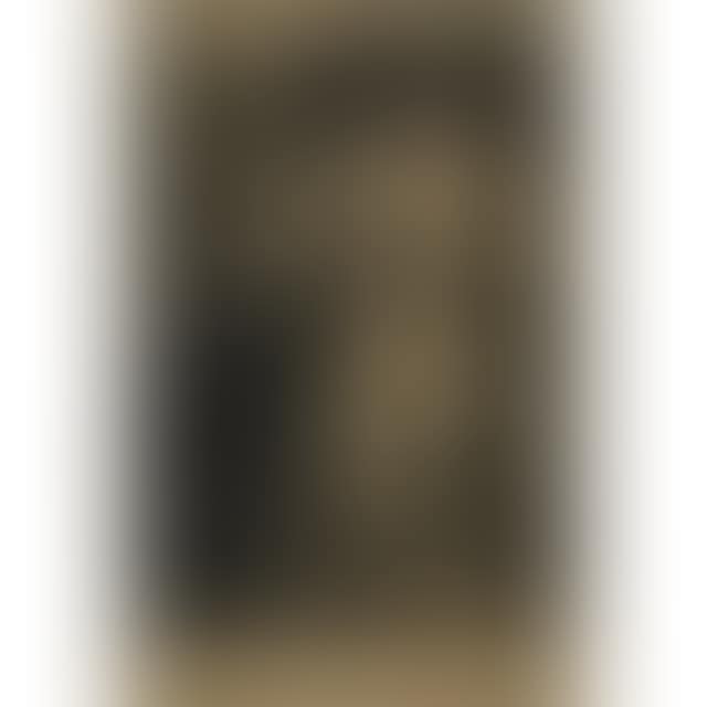 VERITE (THE FRONTISPIECE: WITH TRUTH INSCRIBING LETTERS OF THE COMPOSERS IN A TABLET: BERLIOZ; WAGNER; BRAHMS; SCHUMANN; [HÉDIARD, 56 II] (preview)
