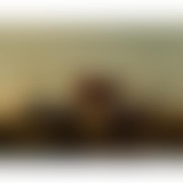 COWS AND SHEEP GRAZING (preview)