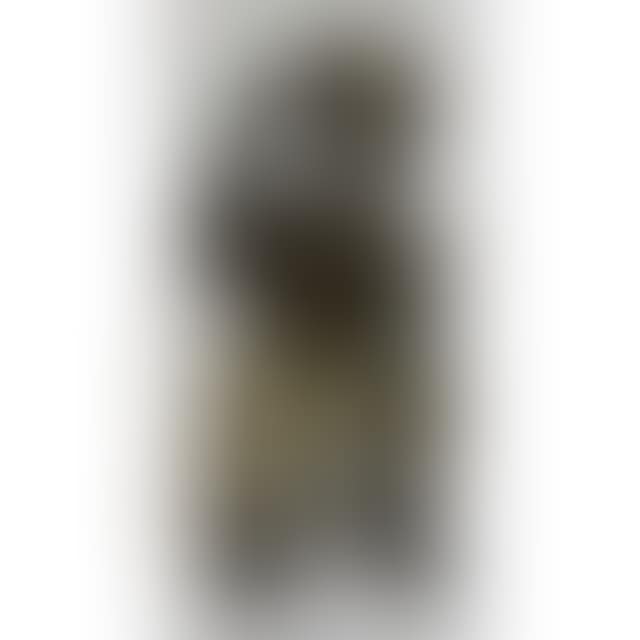 BEAST STANDING ERECT (preview)