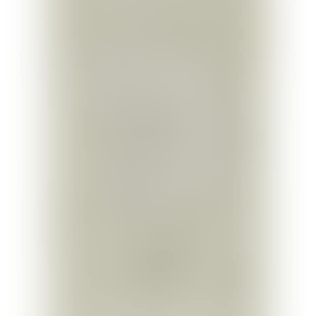 PORTRAIT OF VOLLARD IV (FROM LA SUITE VOLLARD) (preview)