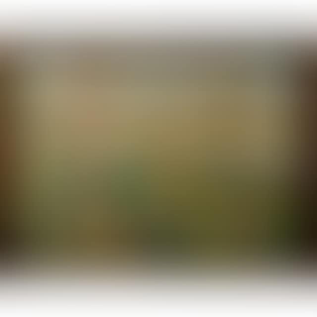 JACK PINE (preview)