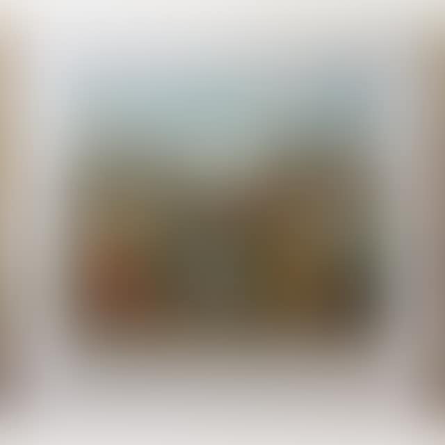 AU VRAI SAUMUR (preview)