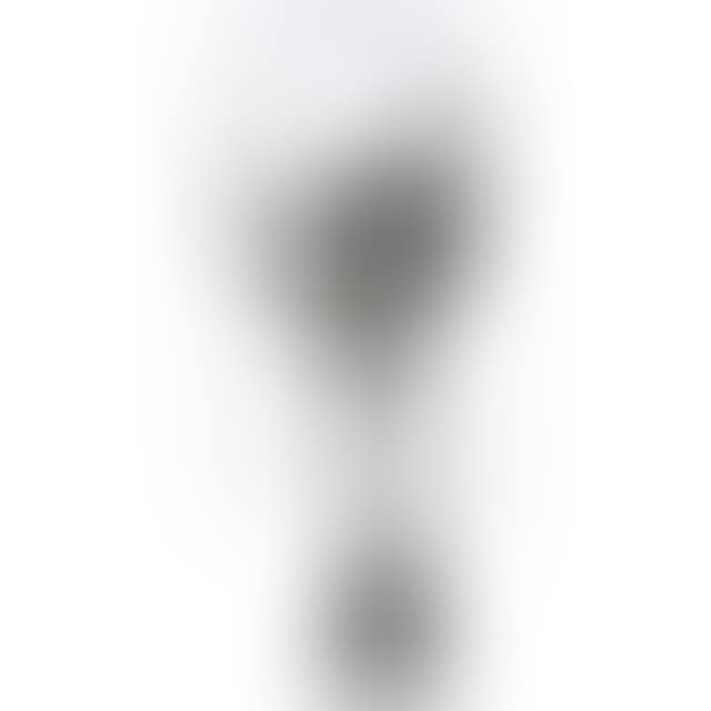 RING DANCER (preview)